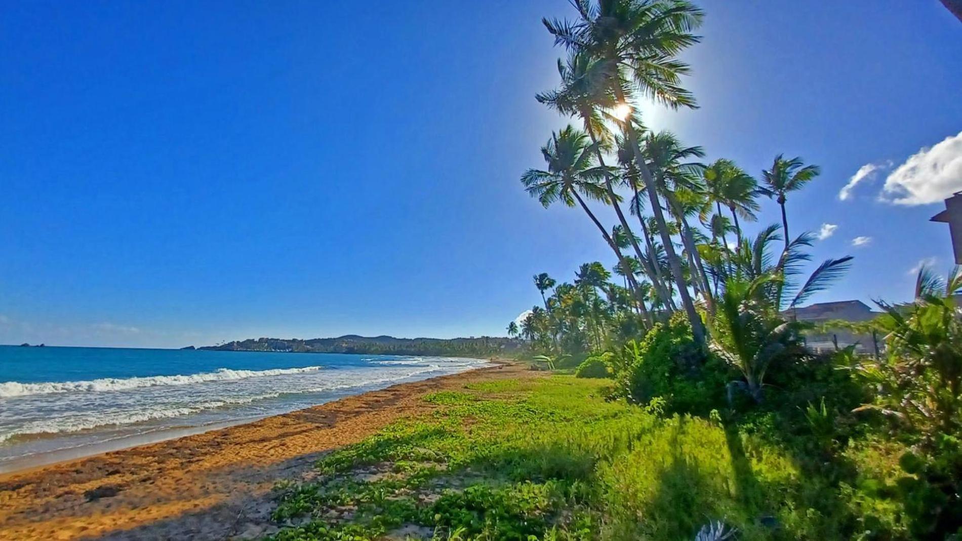 Turtle Pond Apartment Humacao Exterior photo
